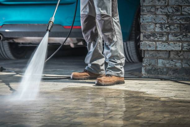 Best Brick and Stone Cleaning in Algonquin, MD