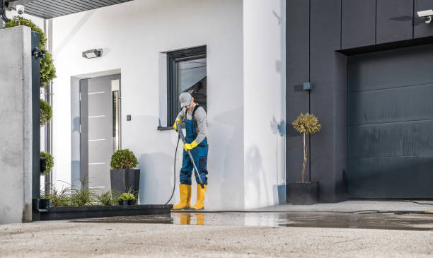 Best Window and Screen Pressure Cleaning in Algonquin, MD